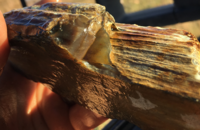 Grassy Butte agate res.png