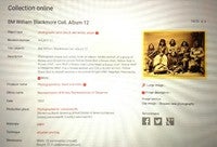 YELLOWWOLF CHEYENNE UK.jpg