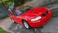 stang.jpg