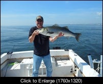 Striper 1.JPG
