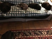 IMG_03001.JPG
