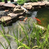 IMG_0855.jpg