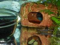 RSCN5609.JPG