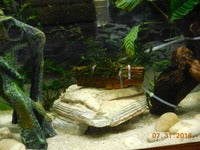 DSCN7267.JPG