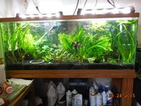 DSCN5516.JPG
