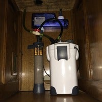 IMG_0590.jpg