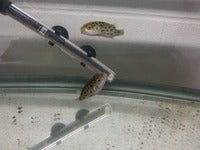 20141209_143736.jpg