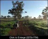 DSCF5341.JPG