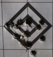 25-45 17 shots XXgr AA2200 2499 fps 110gr FTX.jpg