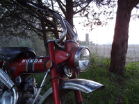 rsz_dsc07303.jpg
