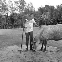 Ramana_and_Lakshmi.jpg