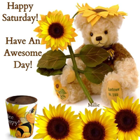 Teddy bear sunflower Saturday.jpg