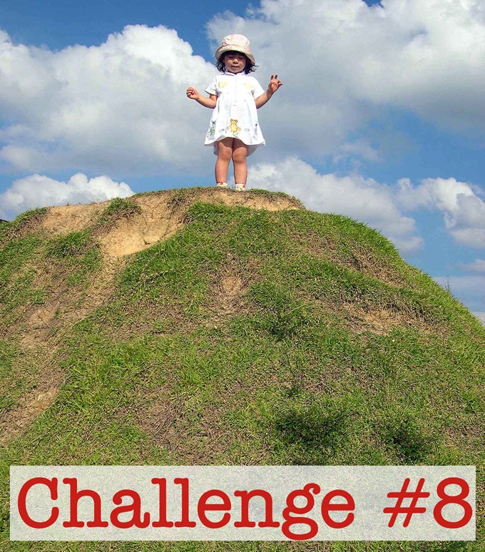 Challenge #8: Make This the Highest Priority You Can