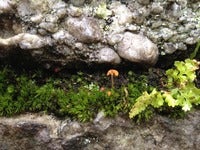 IMG_3779.jpg
