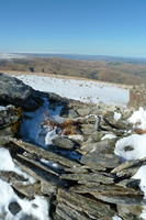 Trig shot from BWS.jpg