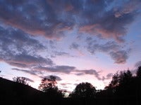 IMG_5847.JPG