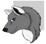 thunderwolf Avatar