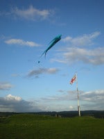 DSCN1148s.jpg