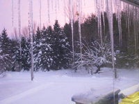 IMG_3995_1.JPG