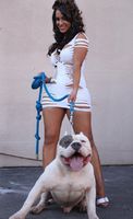 22fceae8721bb3cb20d29ecf9688427c--dog-heave....jpg