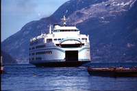 01coqvisor-1.jpg
