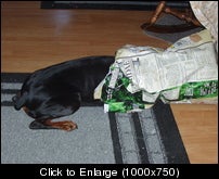 goodtothelastkibble.jpg
