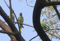 IMG_3370.JPG