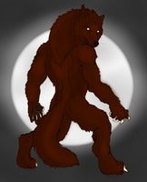 Canis1.jpg
