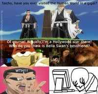 bleach_meme__4_by_ishi_kuchiki-d5vglvz.jpg