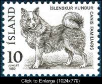 Iceland Scott 526.jpg
