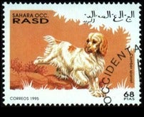1995 dogs (1995) Dogs 68 ptas.JPG