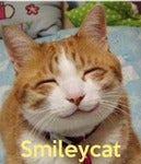 smileycat Avatar