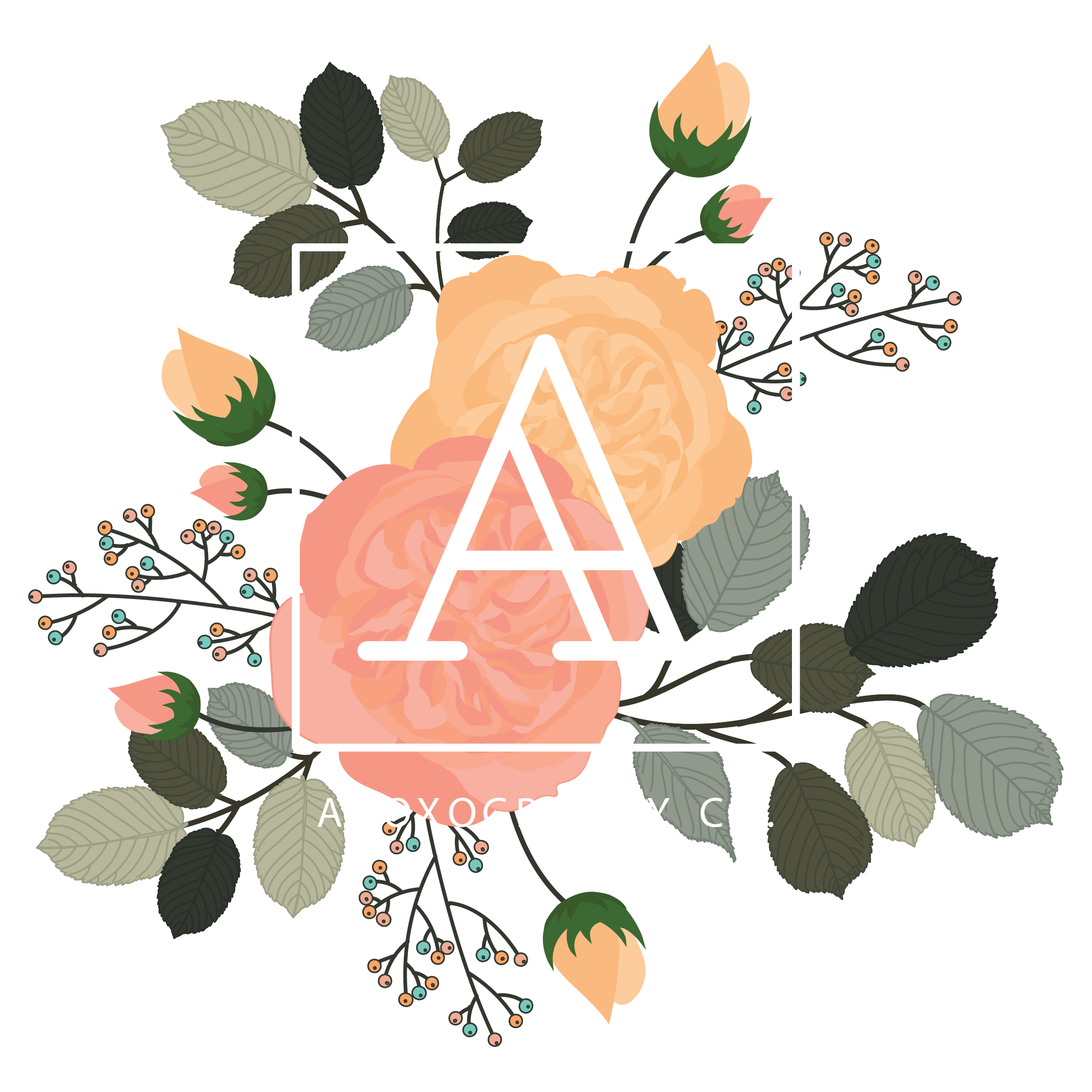 Adoxography Co.