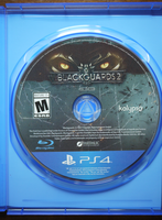 Blackguards21.jpg
