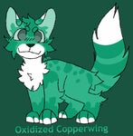 《☆°•cøpper•°☆》 Avatar