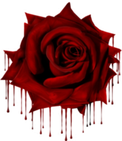 Picture1.png
