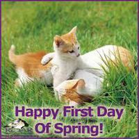 Happy Spring Cats.jpg