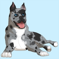 kahrin_icon